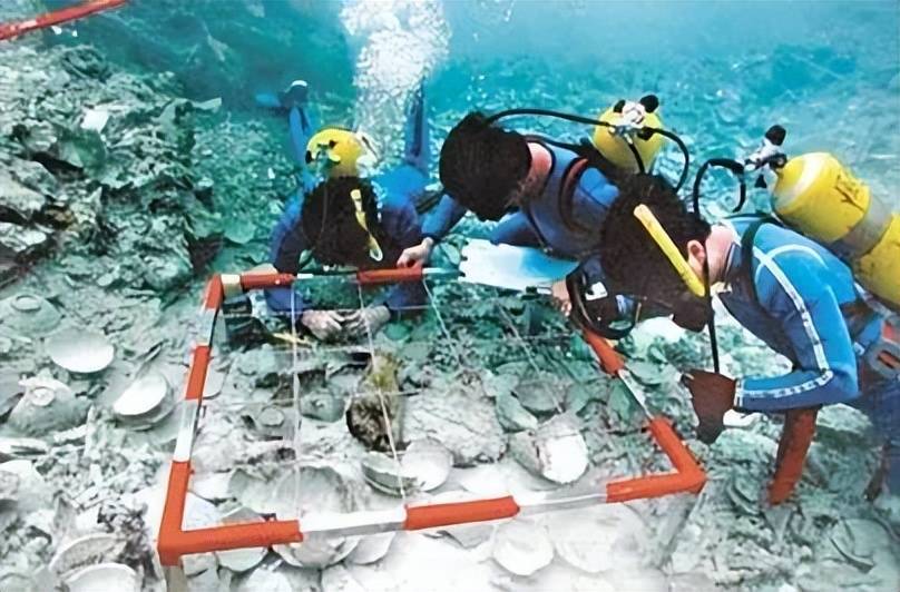 船身800年未腐宝藏价值3000亿美金AG真人国际中国斥资3亿打捞南海一号(图7)